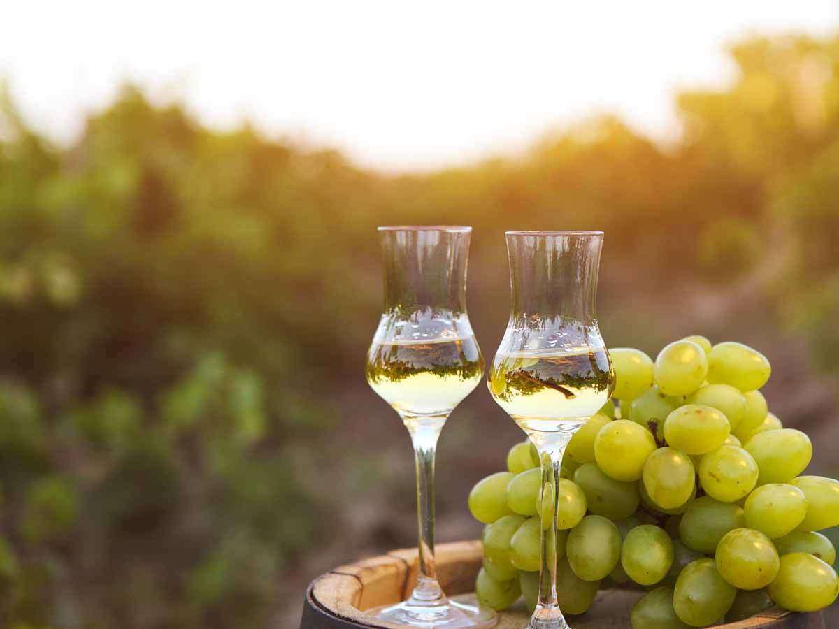 Grappa Sorten – Monovitigno, Cuvée & Rebsorten erklärt